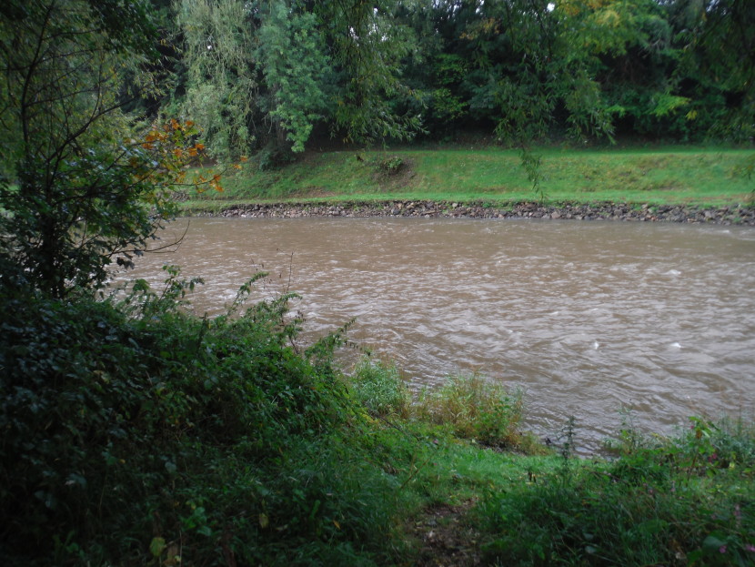 Lower Usk running muddy